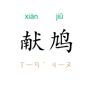 献鸠
