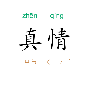 真情