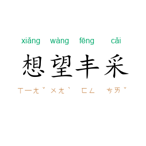 想望丰采