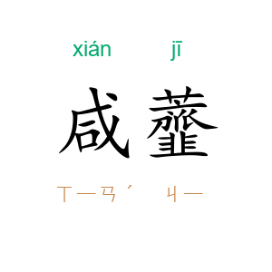 咸虀