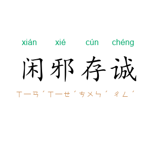 闲邪存诚