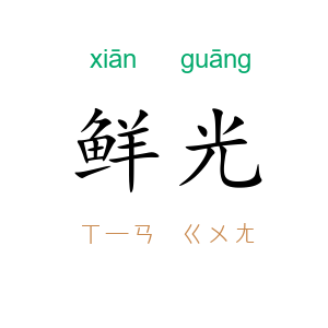 鲜光