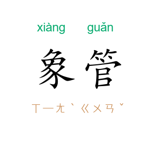 象管