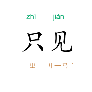 只见