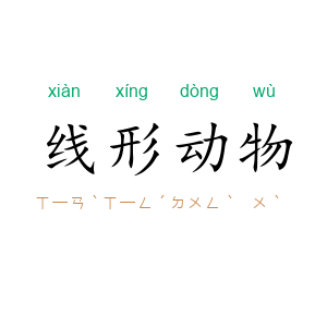 线形动物