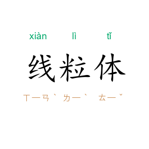 线粒体