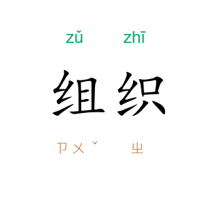 组织