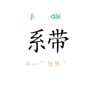 系带