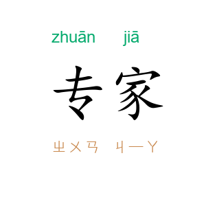 专家