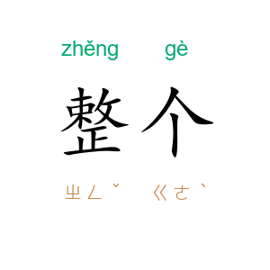 整个