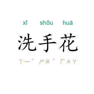 洗手花
