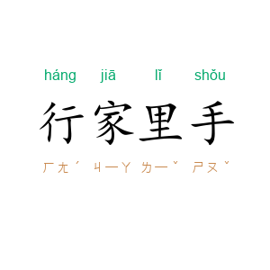 行家里手