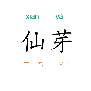 仙芽