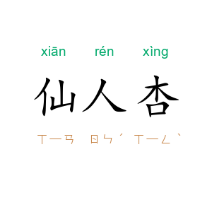 仙人杏