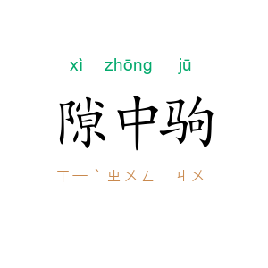 隙中驹