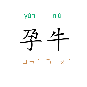 孕牛