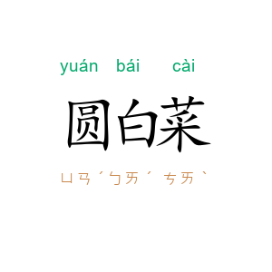 圆白菜