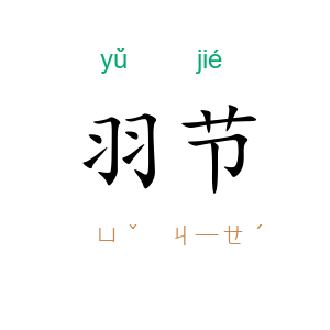 羽节