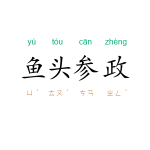 鱼头参政