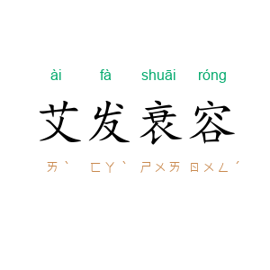 艾发衰容