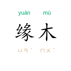 缘木