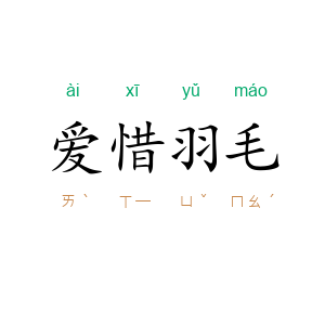 爱惜羽毛