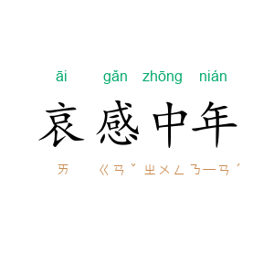 哀感中年