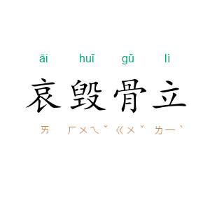 哀毁骨立
