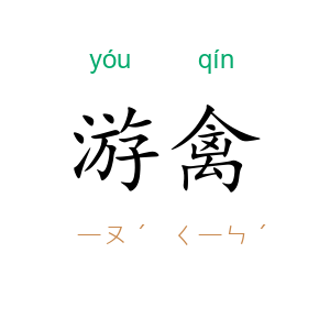 游禽