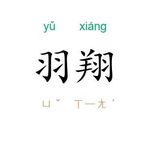 羽翔