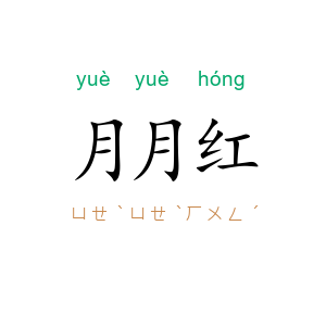 月月红