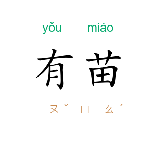 有苗