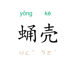 蛹壳