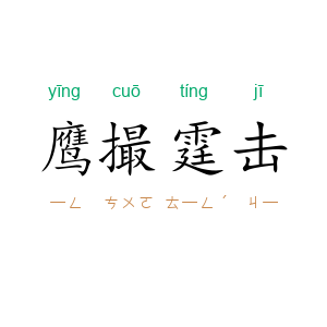 鹰撮霆击