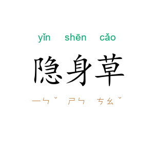 隐身草