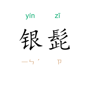 银髭