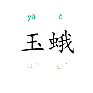 玉蛾