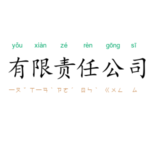 有限责任公司