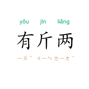 有斤两