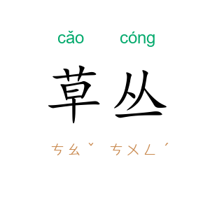 草丛