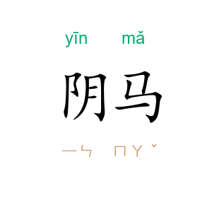 阴马