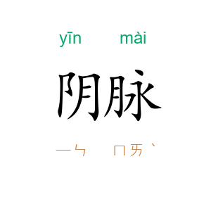 阴脉