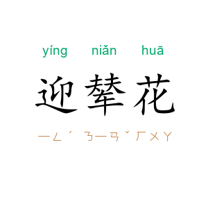 迎辇花
