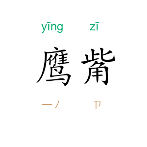 鹰觜