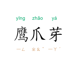 鹰爪芽