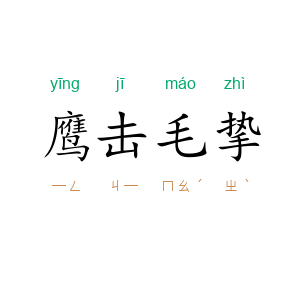 鹰击毛挚