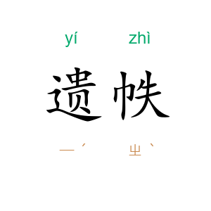 遗帙