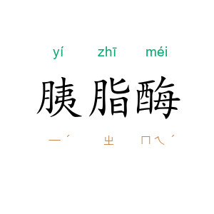 胰脂酶