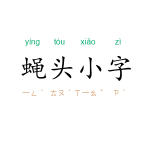 蝇头小字