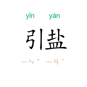 引盐
